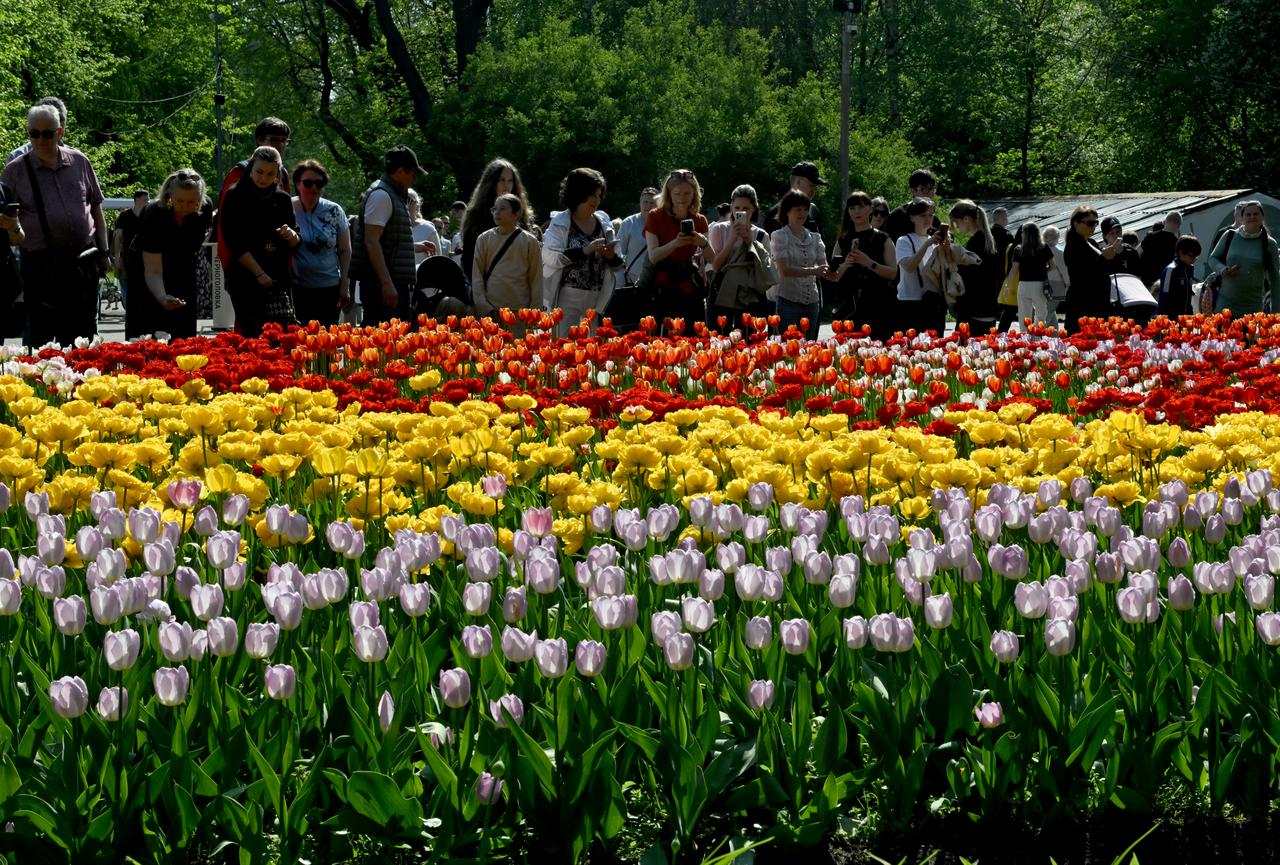 People enjoy the annual Tulip Festival on Elagin Island in Saint Petersburg, Russia, May, 17, 2026. (AA Photo)