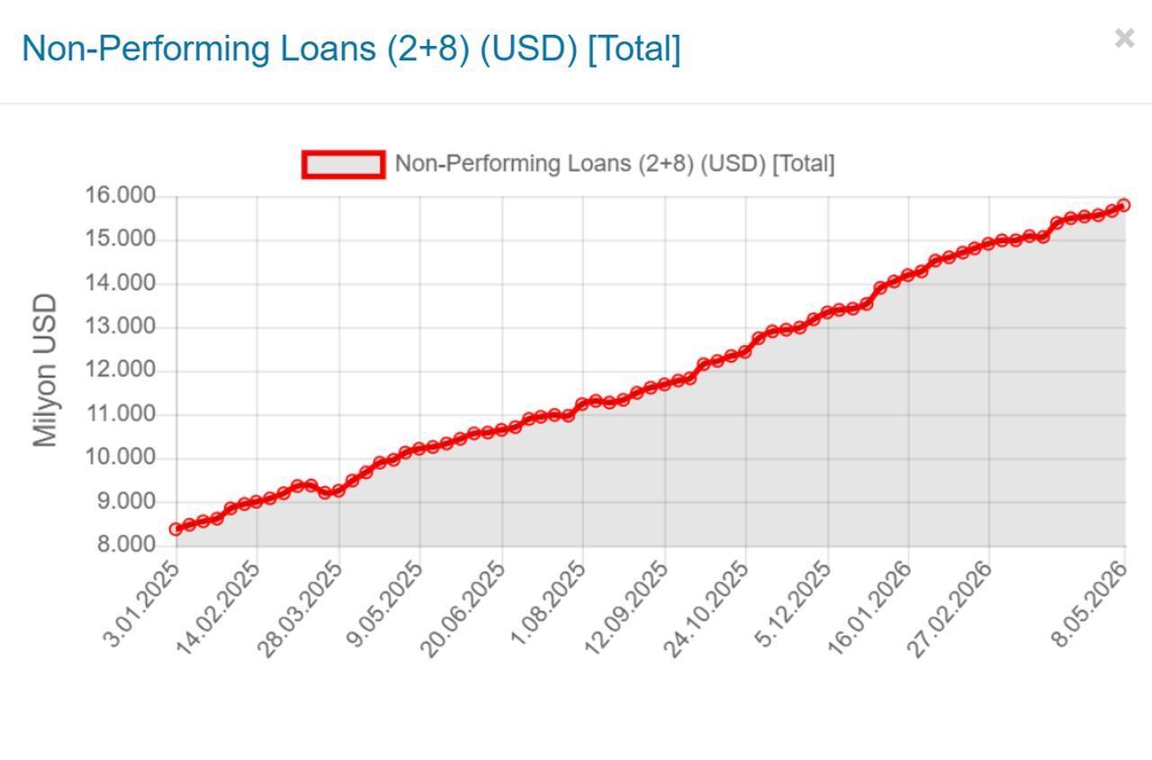 Line chart shows Türkiye’s non-performing loans in U.S. dollar terms from January 2025 to May 2026. (Chart via BRSA)