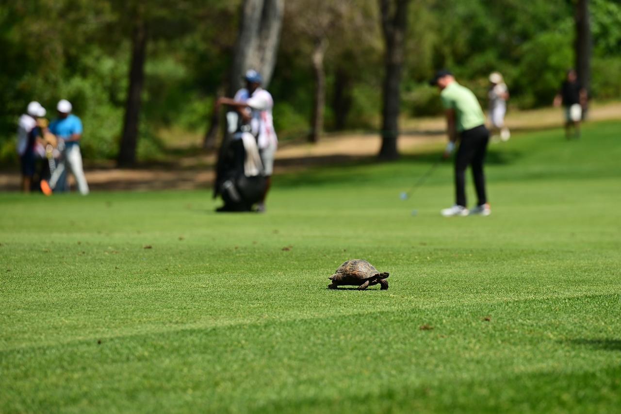 Italy’s De Leo leads Turkish Airlines Open as Turkish golfers miss cut