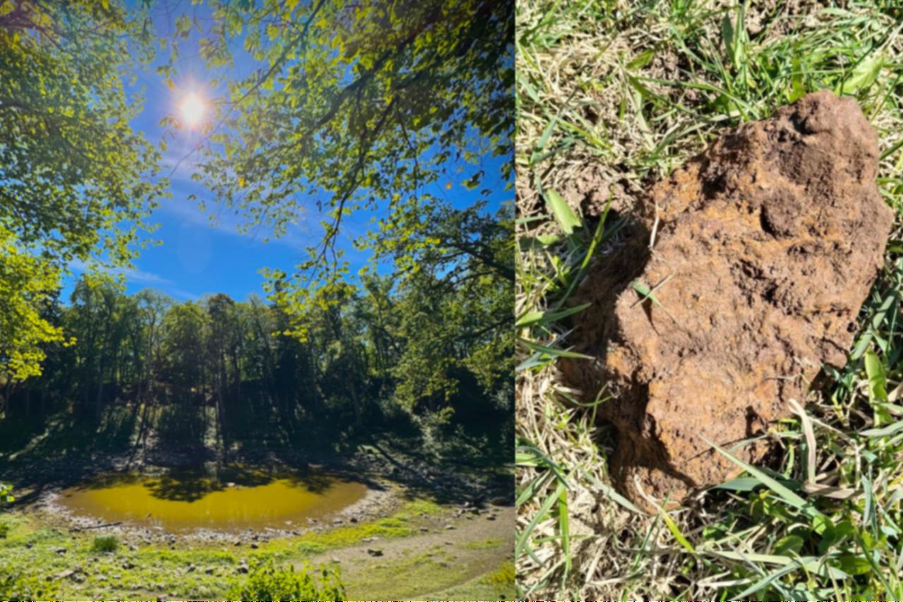 Scientists find largest known fragments of ancient meteorite in Estonia