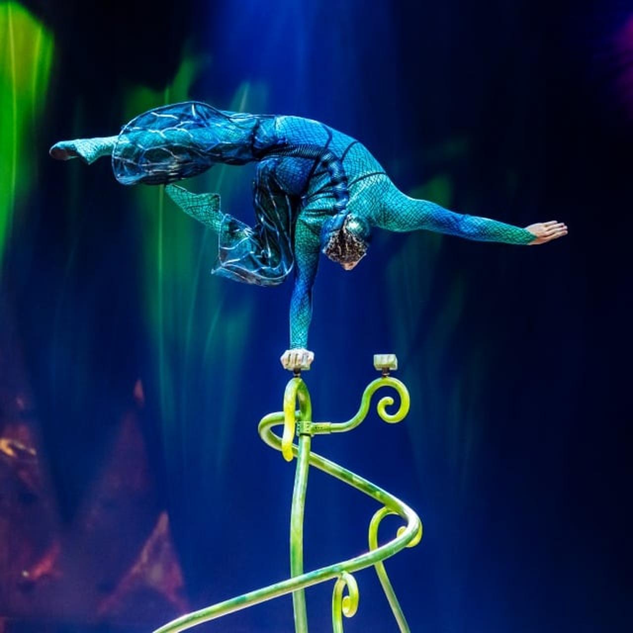 Acrobat performing a one-handed balance act during Cirque du Soleil's "OVO" . (Photo via Cirque Du Soleil)
