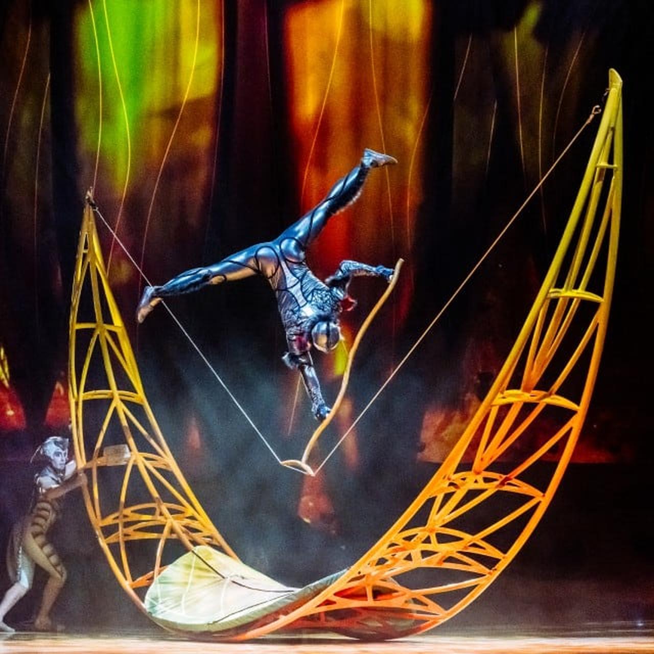 A crobat balancing upside down on a slack wire during performance of "OVO." (Photo via Cirque Du Soleil)