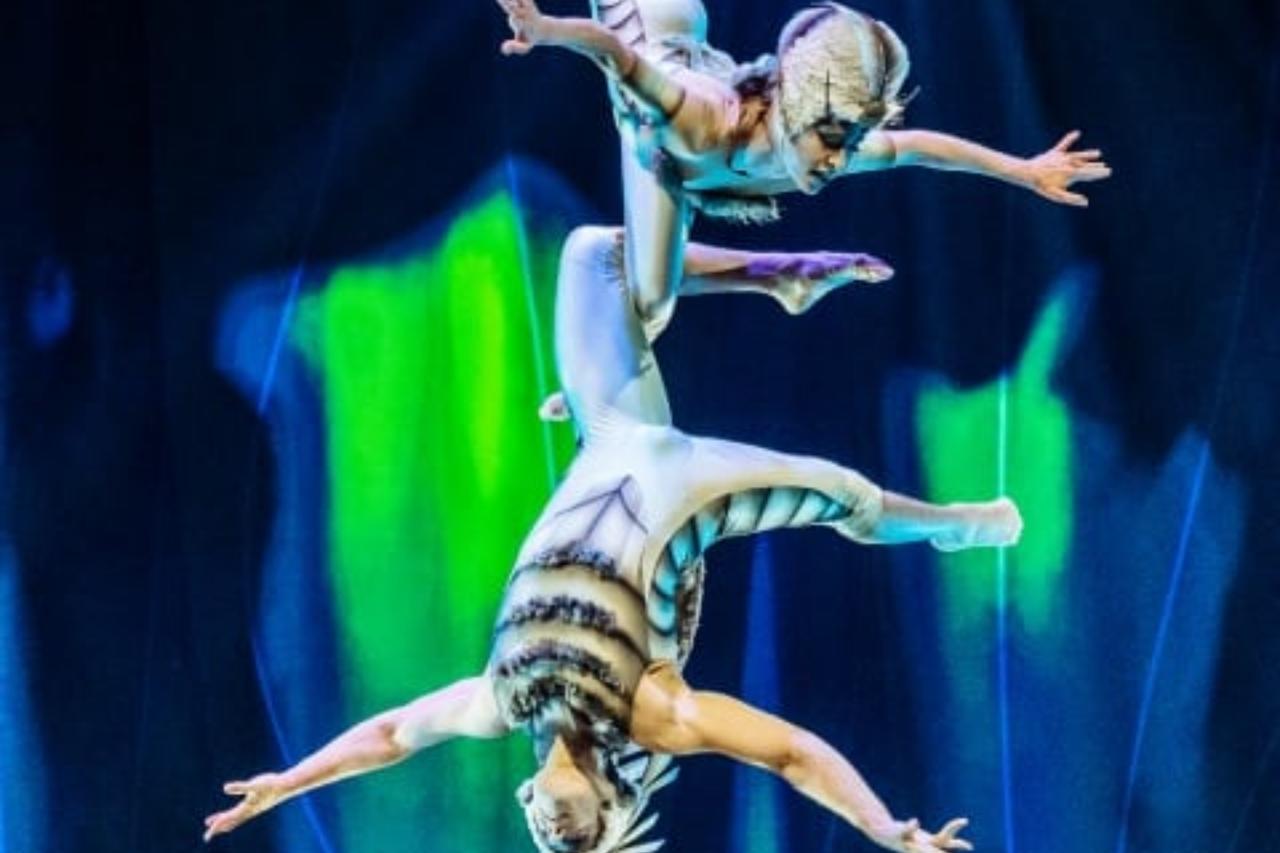 Cirque du Soleil makes grand return to Istanbul with 'OVO'