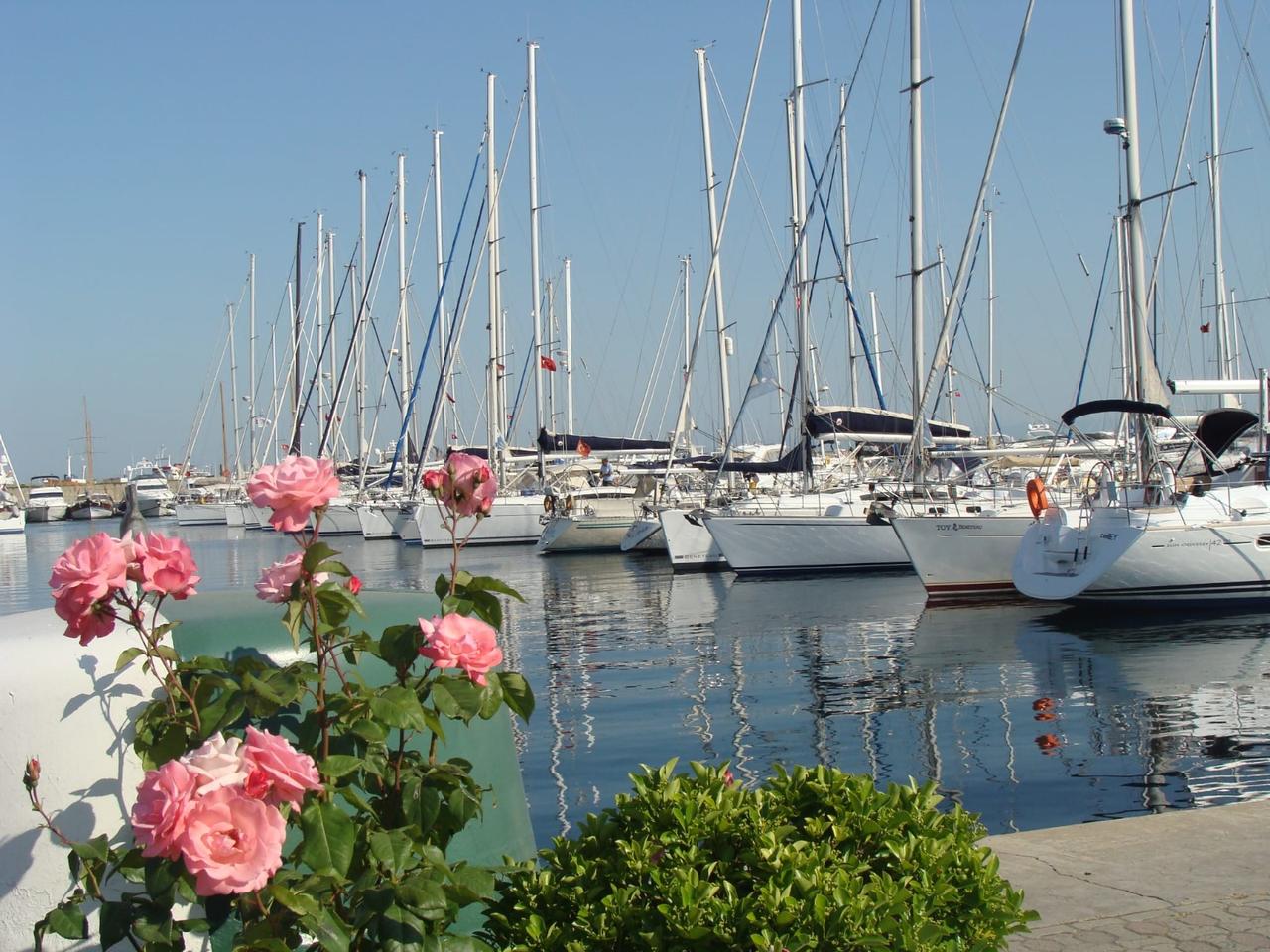 A marina in Türkiye displays its yachting infrastructure, part of the country’s wider Blue Flag network covering beaches, marinas and boats. (Photo via Ministry of Culture and Tourism)