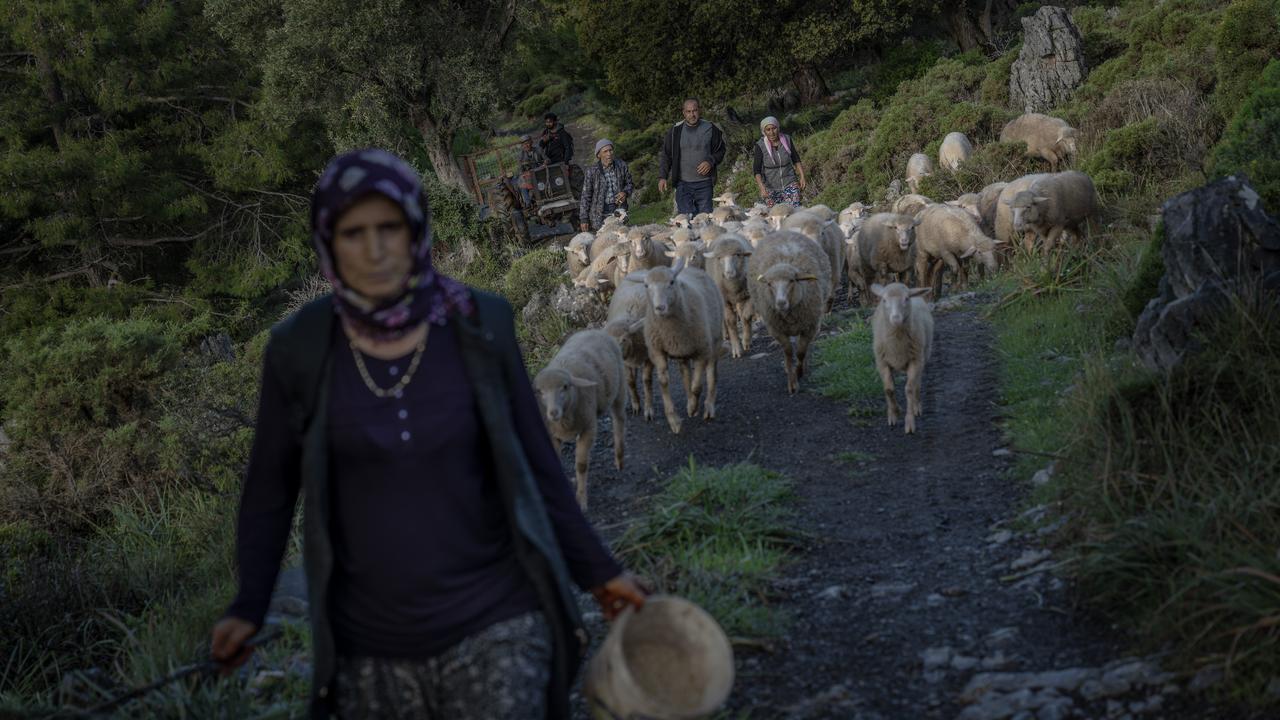 Anadolu Agency