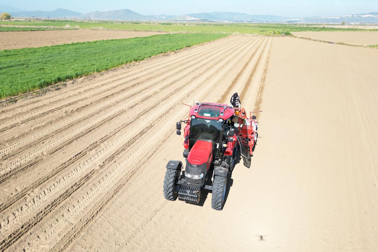 Türkiye’s crop output rebounds in 2026 after weather-hit year