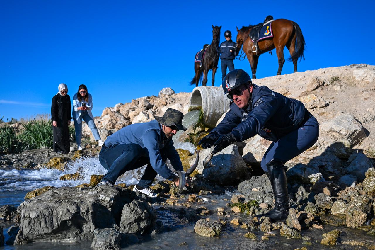 Photo shows gendarmerie teams patrol as they take measures to prevent the pearl mullets, which lives in Lake Van and migrates to streams and rivers to spawn, from illegal fishing in Van, Türkiye, May 9, 2026. (AA Photo)