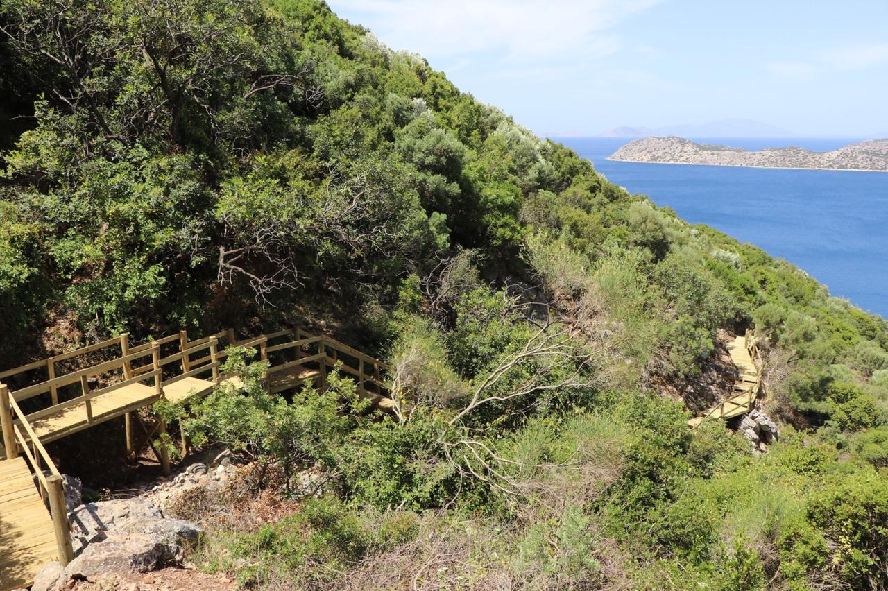 A wooden walking path passes through forested terrain along the Carian Way and Phoenix Ecotourism Area in Marmaris, Mugla, Türkiye. (AA Photo)