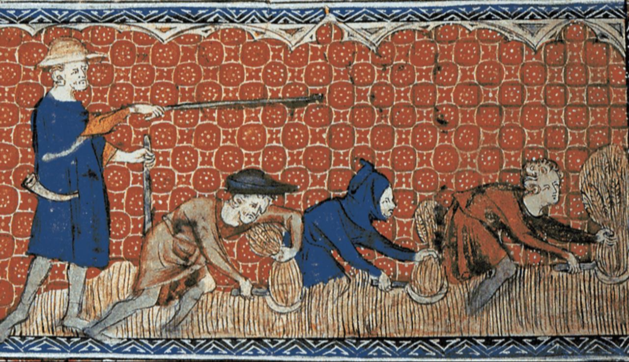 A medieval illustration from Queen Mary’s Psalter shows peasants harvesting wheat with sickles in Europe, circa 1310. (Image via Wikimedia)