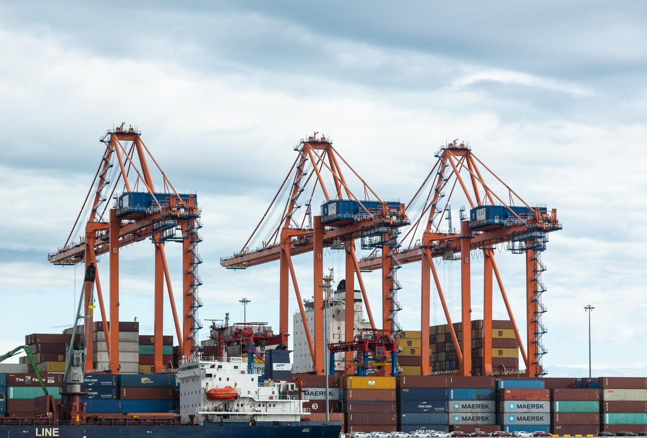 Container cranes operate at Mersin Port in Türkiye, on Dec. 2, 2022. (Adobe Stock Photo)