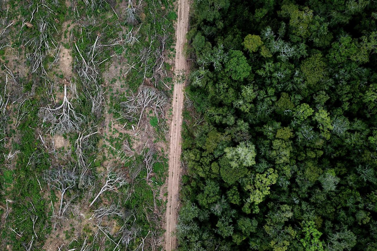 An aerial view capturing the stark dividing line between a deforested patch of the Amazon and untouched rainforest. (Photo via Adobe Stock)