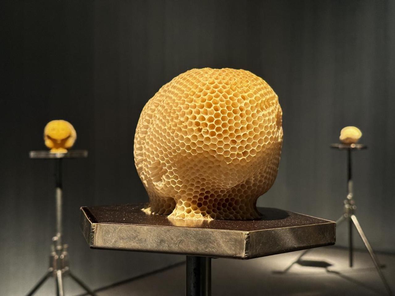 The sixth edition of the “Istanbul Digital Art Festival” will take place from June 3 to 7 (AA Photo)