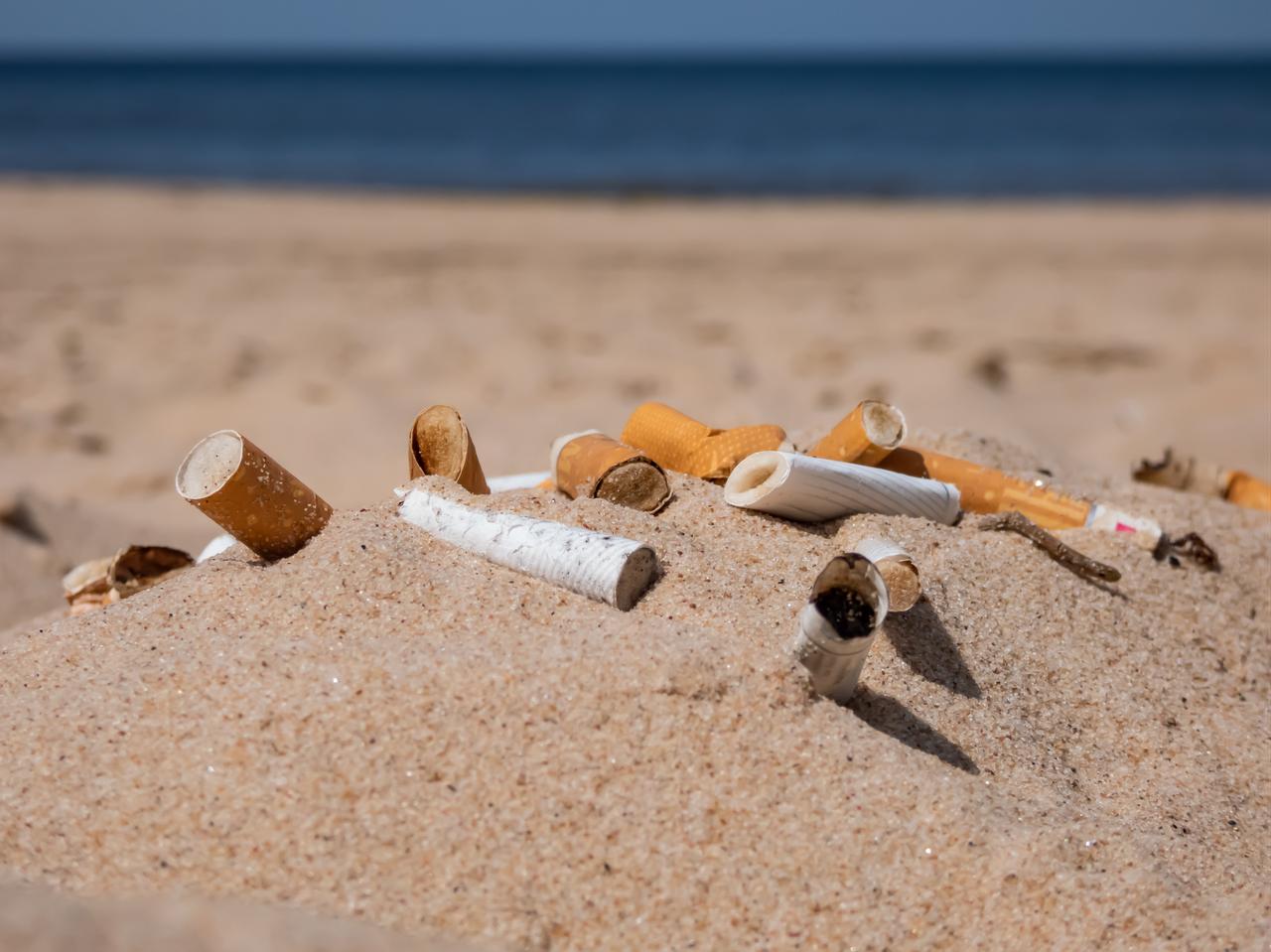 Cigarette butts have been thrown on the beach (Adobe Stock Photo)