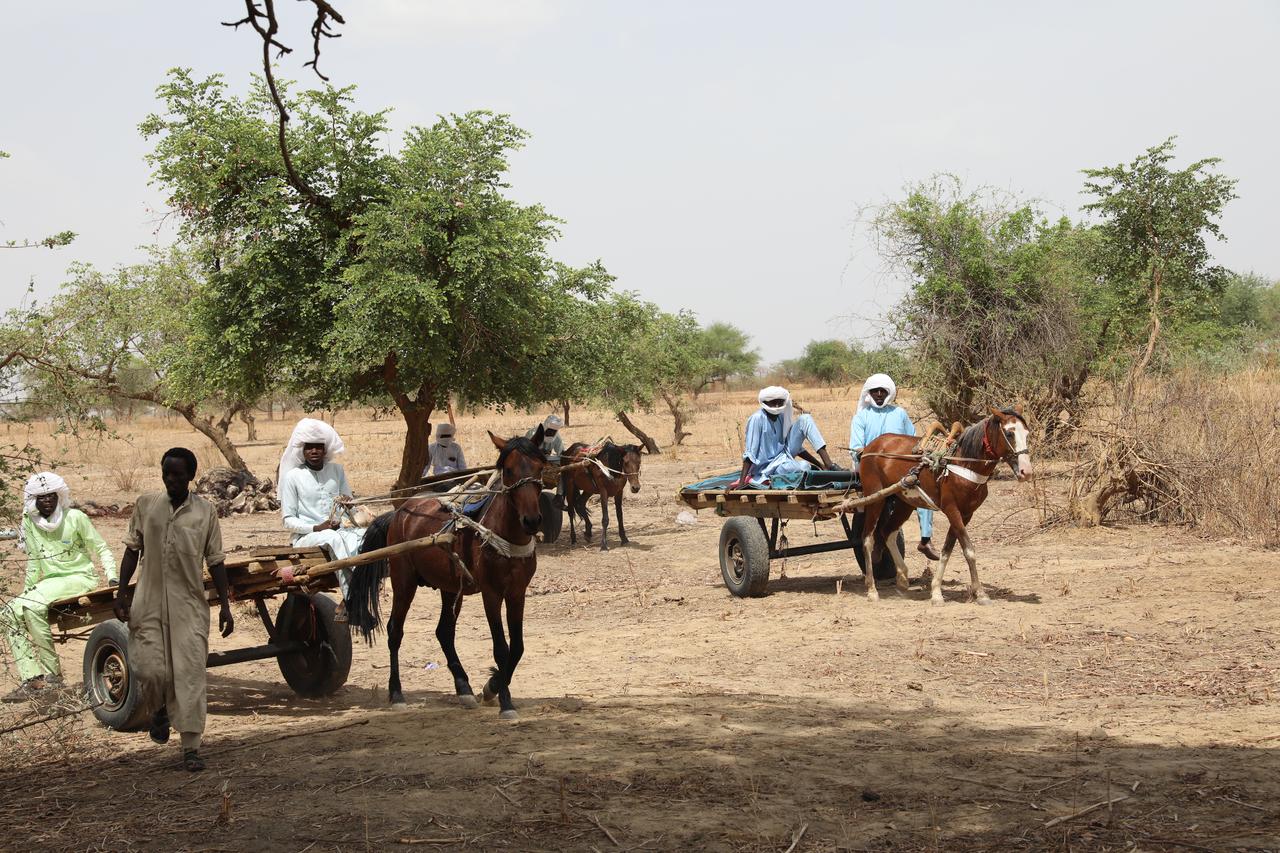 African nations push back on US aid deals tied to data, minerals: Report