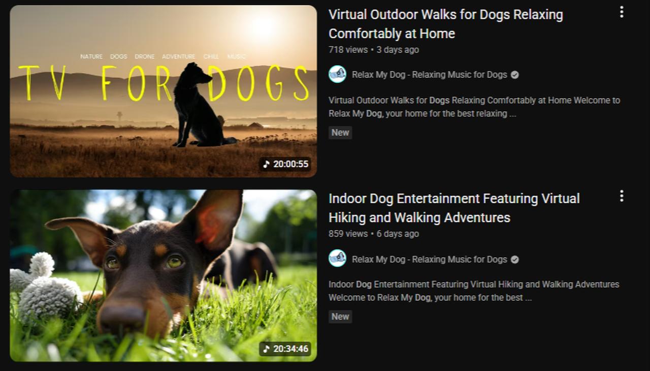 Screenshot showing specialized YouTube channels offering 20-hour virtual content for pets. (photo via Youtube)