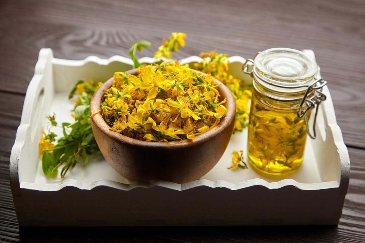 Freshly picked St. John’s Wort flowers are displayed alongside infused oil, illustrating both raw and prepared forms of the plant. (Adobe Stock Photo)