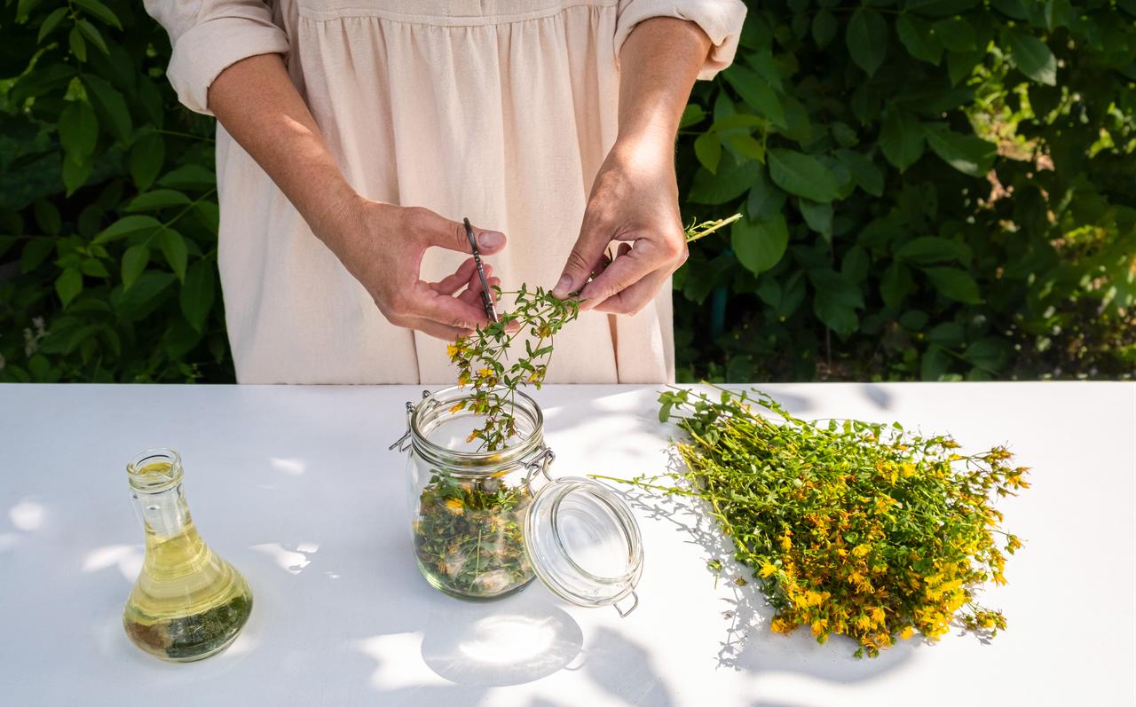 Stems and flowers are carefully trimmed before being placed into a jar for infusion. (Adobe Stock Photo)