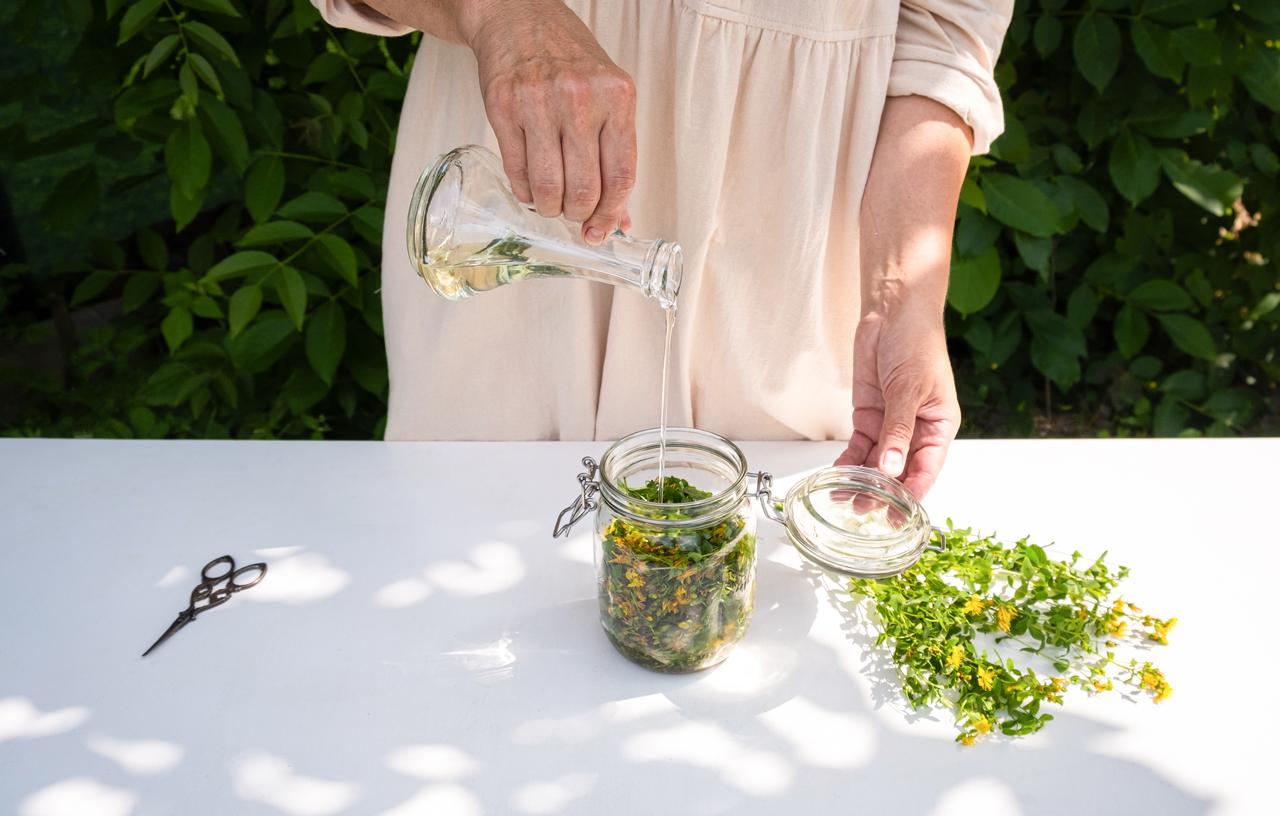 Olive oil is poured over St. John’s Wort flowers in a glass jar as part of the traditional maceration process. (Adobe Stock Photo)