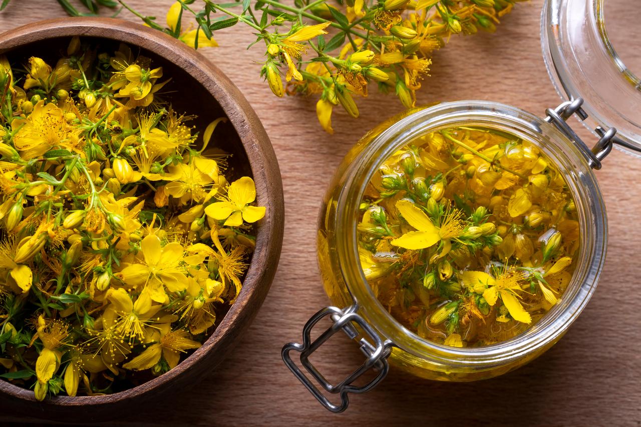 St. John’s Wort flowers begin to infuse in oil, marking the early stage of the maceration process. (Adobe Stock Photo)