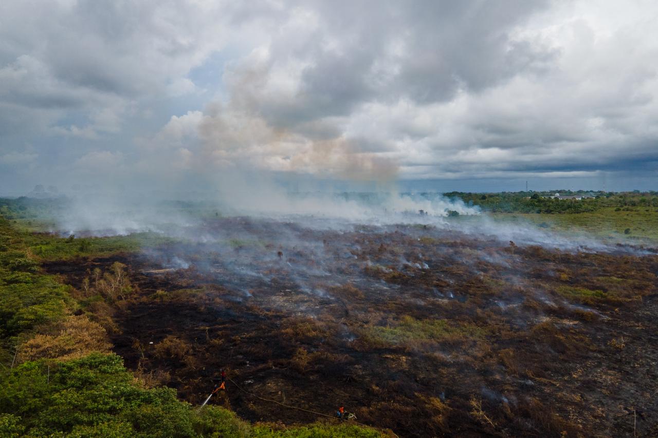 An aerial picture shows firefighters working at the scene of a fire at a peatland forest converted into palm oil plantations in Meulaboh, in Indonesia's Aceh province on Feb. 15, 2025. (AFP Photo)