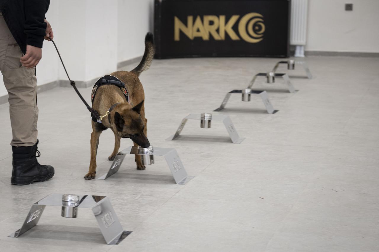 Türkiye’s police dogs join frontlines after intensive training