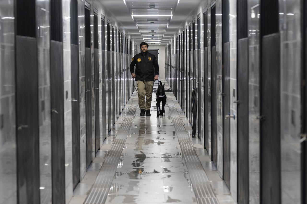 Police dogs of the Turkish General Directorate of Security undergo rigorous training and actively take part in crime-fighting operations at the Dog Training Center (KEM) in Golbasi district of Ankara, Türkiye, April 15, 2026. (AA Photo)