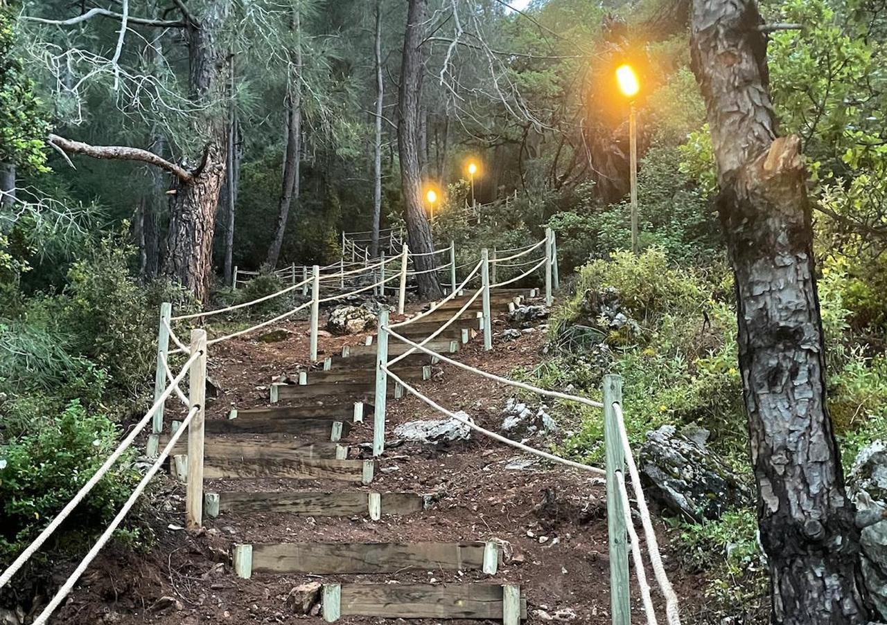 A forest trail with wooden steps and lighting leads up to the historic pyramid tomb site in Marmaris, Türkiye. (AA Photo)