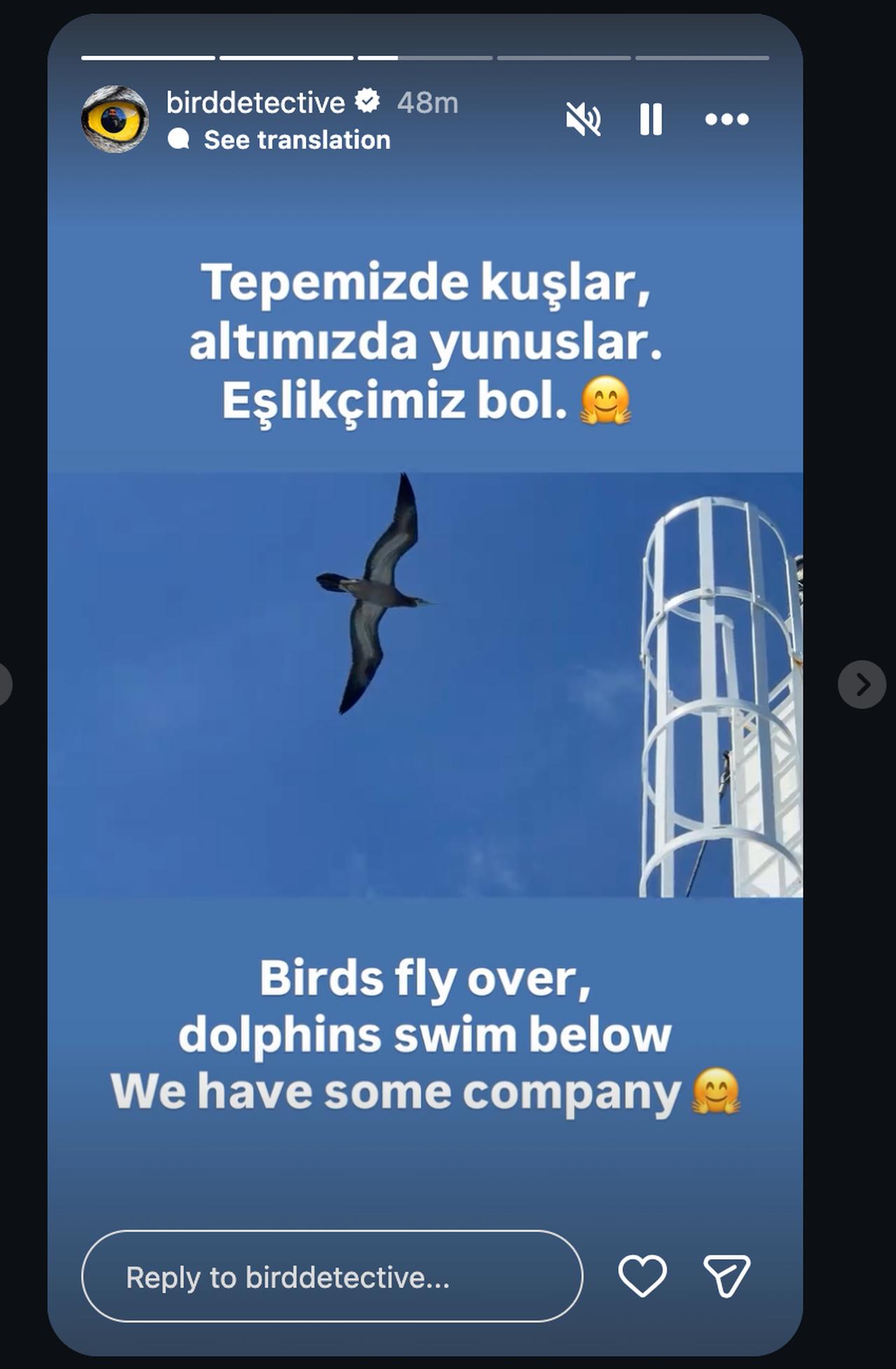 Emin Yogurtcuoglu shares an update from the MV Hondius, Atlantic Ocean, May 7, 2026. (Photo via Instagram / @birddetective)