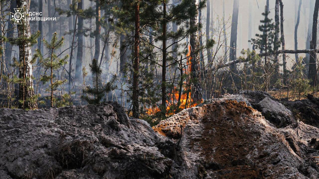 This handout photograph taken on May 7, 2026 released by the State Emergency Service of Ukraine on May 8, 2026, shows a forest fire in the Chernobyl Exclusion Zone in northern Ukraine. (AFP Photo)