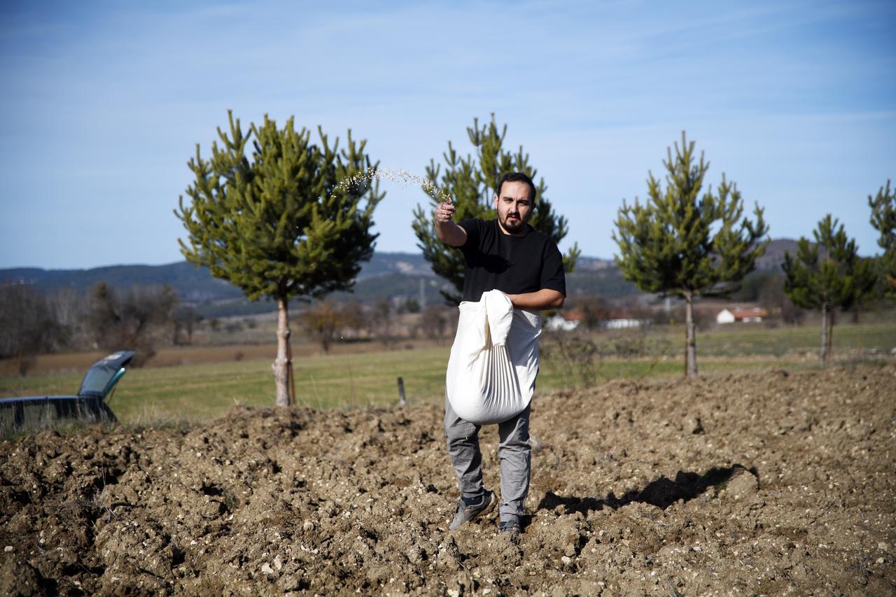 A farmer scatters einkorn wheat seeds across a field in Ihsangazi district of Kastamonu, where the ancient grain has been cultivated for generations. (AA Photo)