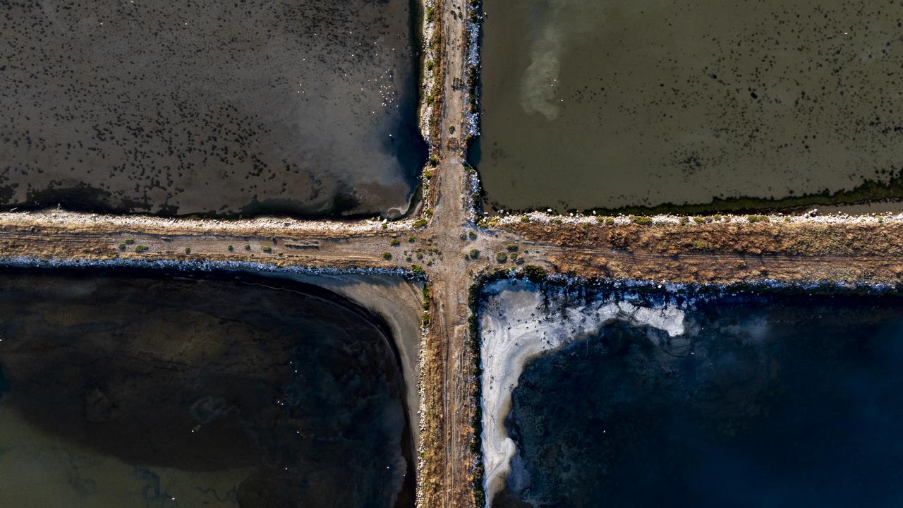 Izmir's Gediz Delta: Türkiye’s Aegean wetland haven