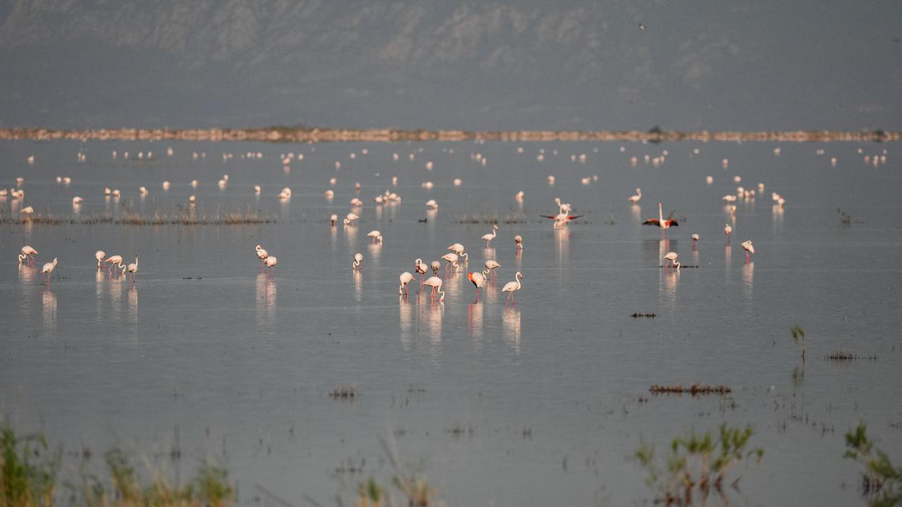 Anadolu Agency