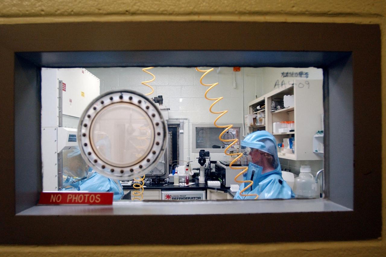 US funded 120+ biolabs handling dangerous pathogens, intel chief claims