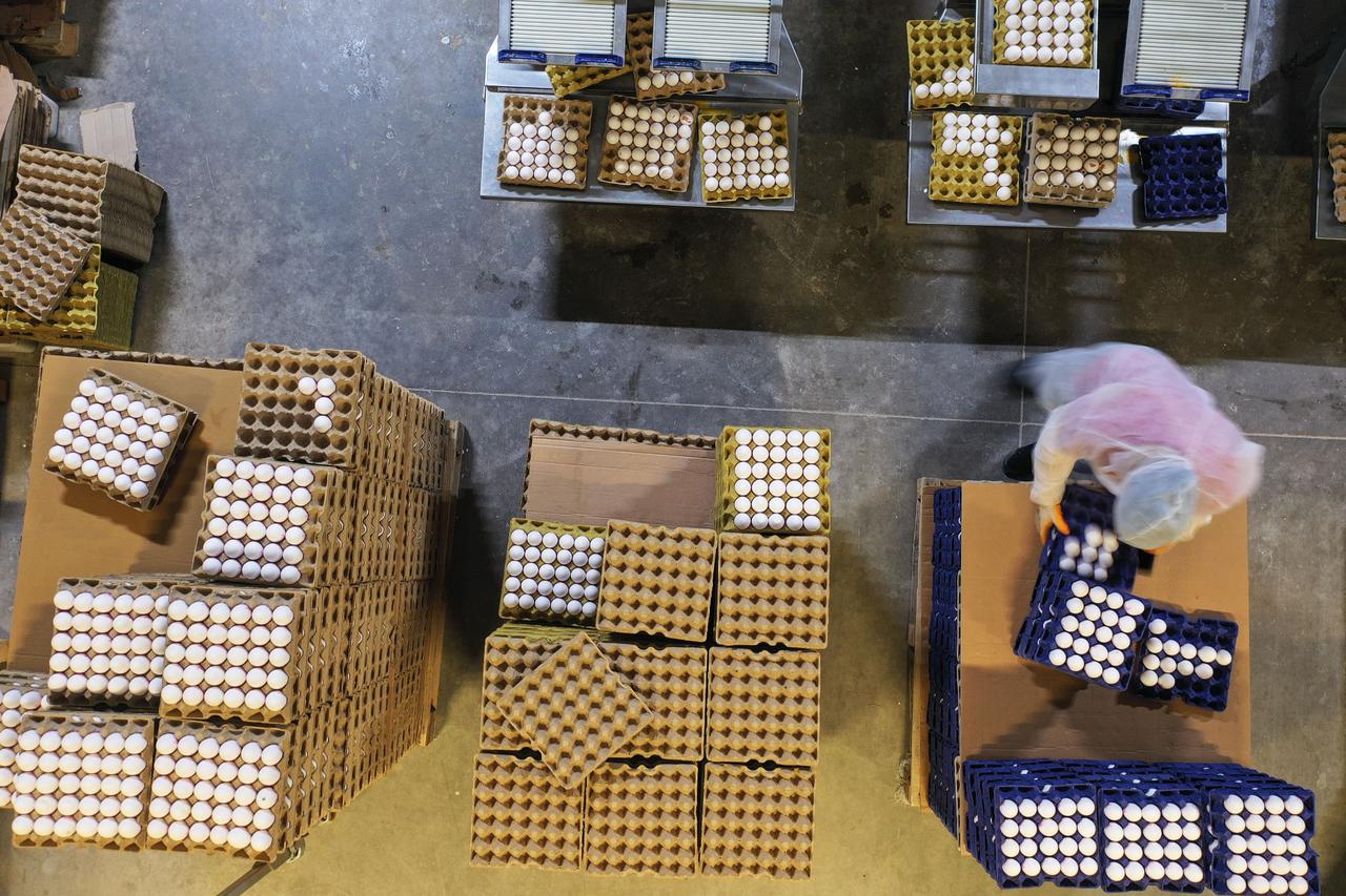 Europe turns to Türkiye for eggs amid bird flu crisis