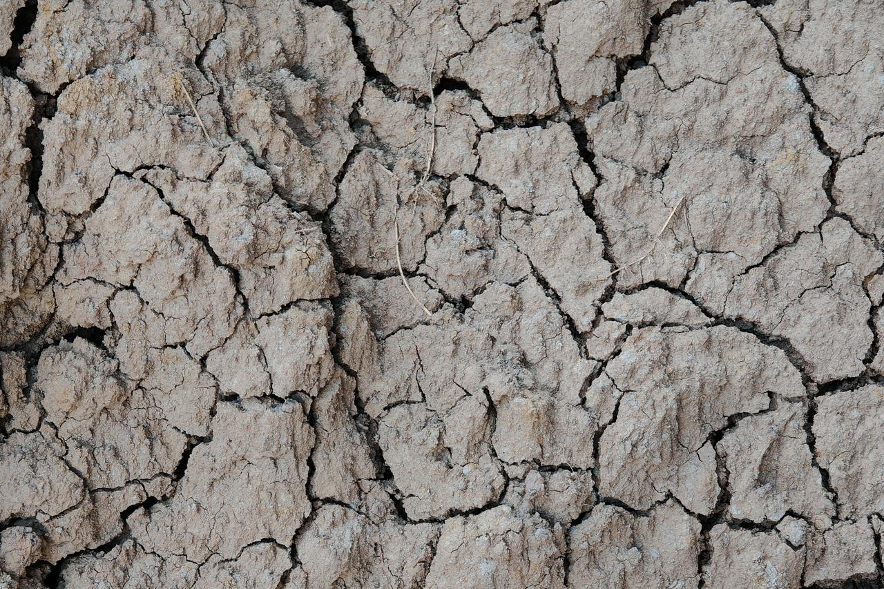 Türkiye’s drought conditions continue despite short-term rainfall relief