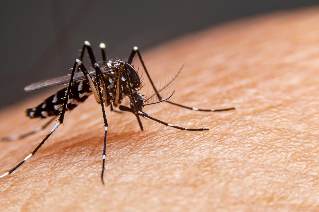 Malaysia Reports 27 Percent Spike in Nationwide Dengue Cases