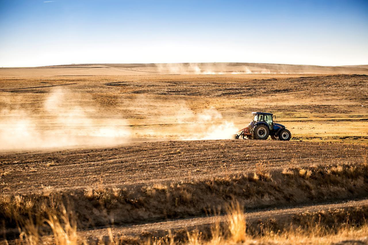 Türkiye loses over 10% of its farmland over past 30 years