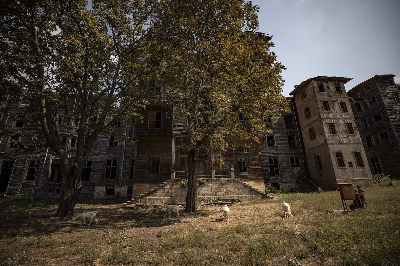 A view of the historic Greek Orthodox Orphanage on Buyukada, Istanbul, Türkiye, Aug. 26, 2021. (AA Photo)
