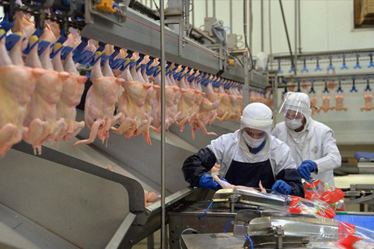 How Türkiye’s sweeping poultry antitrust probe is rewriting rules for business