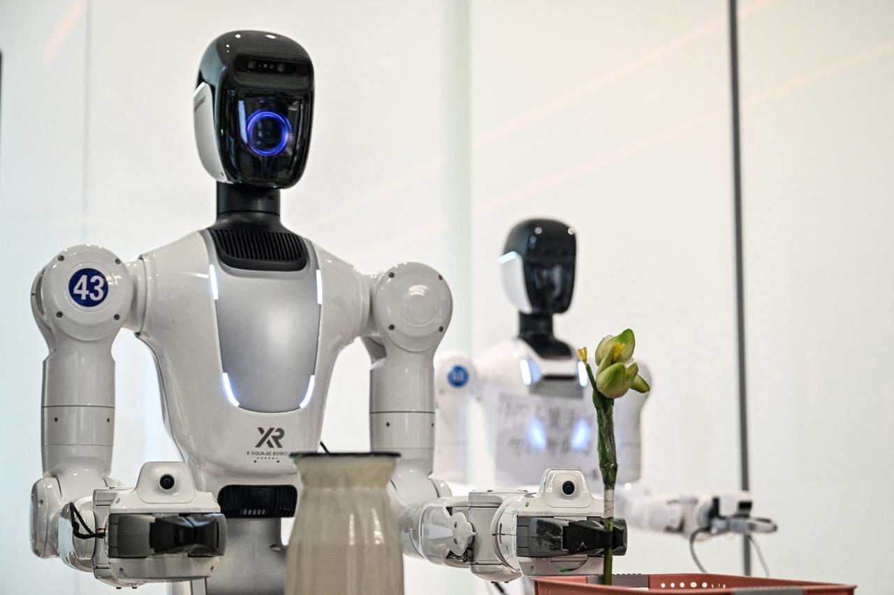 Humanoid robots dazzle crowds but still can't work on their own 