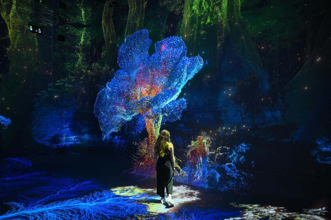 Amazon rainforest AI simulation opens at new LA museum