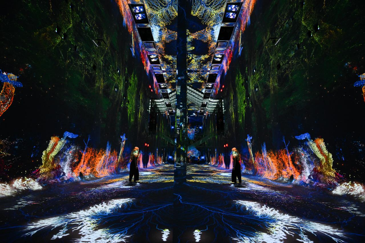 Attendees walk through immersive visualizations at DATALAND, the Museum of AI Arts, in Los Angeles, California on June 9, 2026. (AFP Photo)