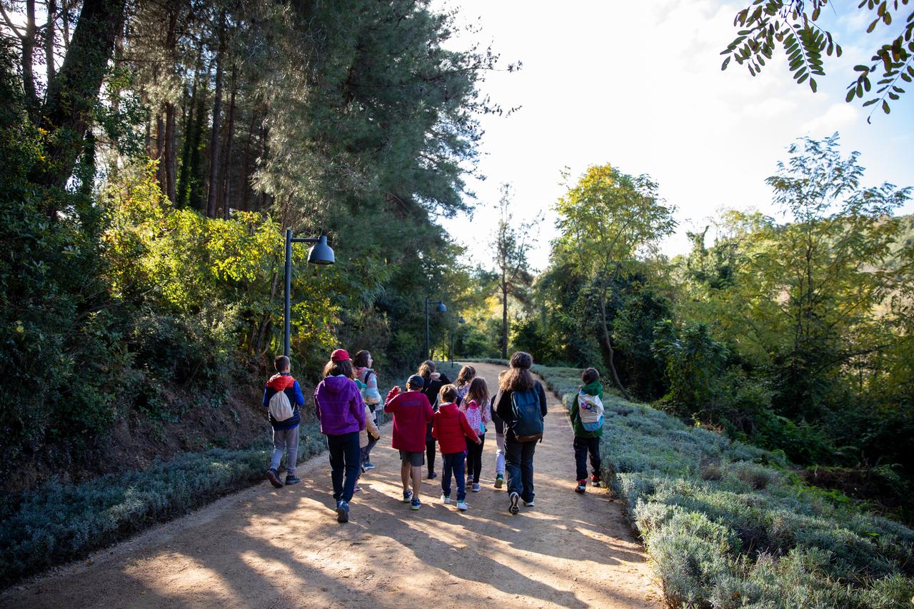 The 54th Istanbul Music Festival will include Nature’s Music workshops for children as part of the First Steps in Art program. (Photo via IKSV)