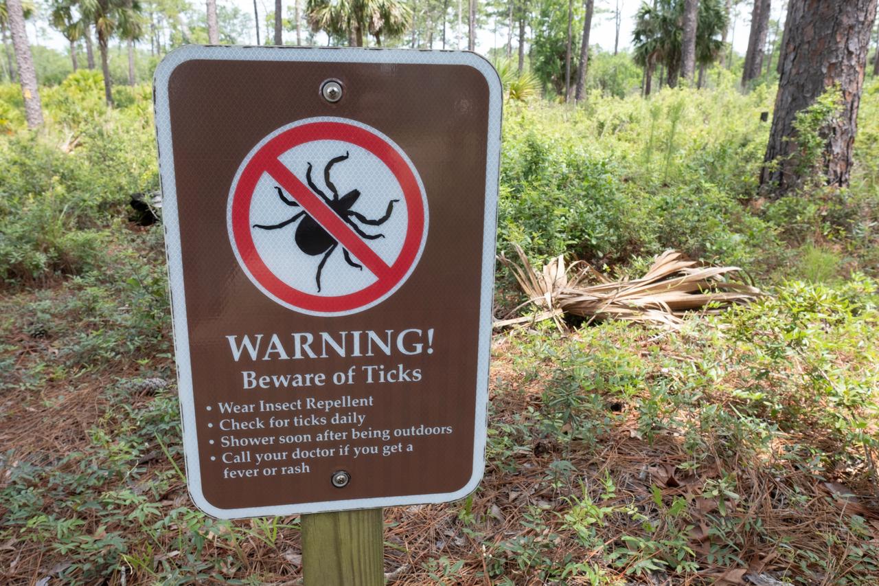 Türkiye targets ticks and stink bugs with 51,000 wild birds