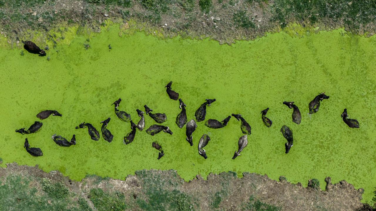 Anadolu Agency