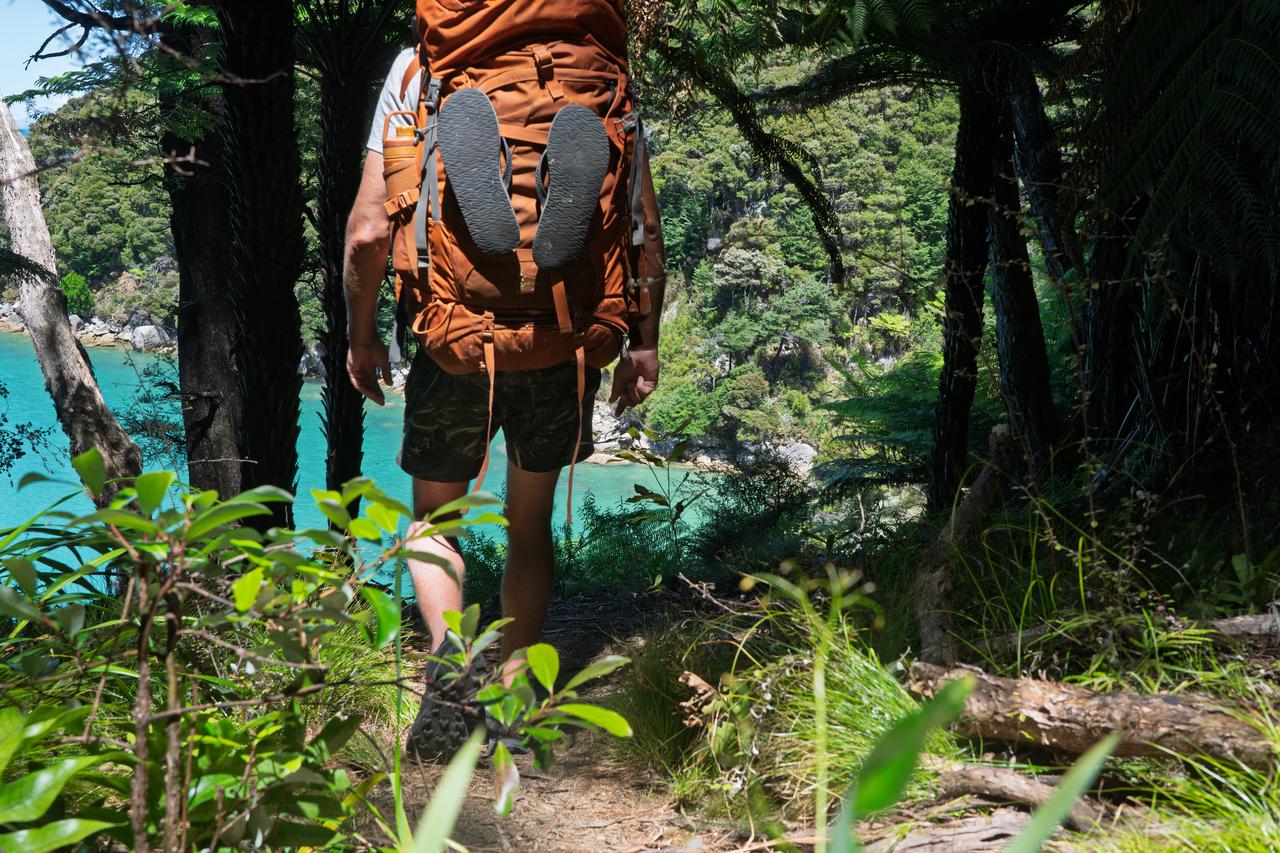 A hiker walks along a narrow forest trail overlooking a coastal landscape. (Adobe Stock Photo)
