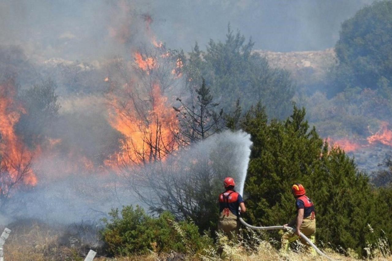 Türkiye warns public as rising heat pushes up forest fire risk