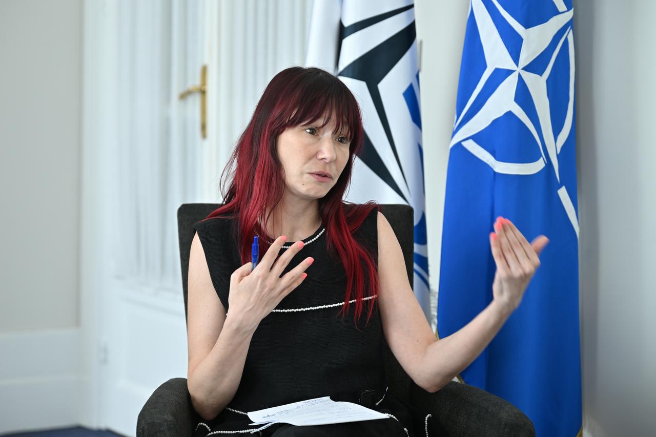 NATO Parliamentary Assembly chief says Türkiye stands out as strong ally