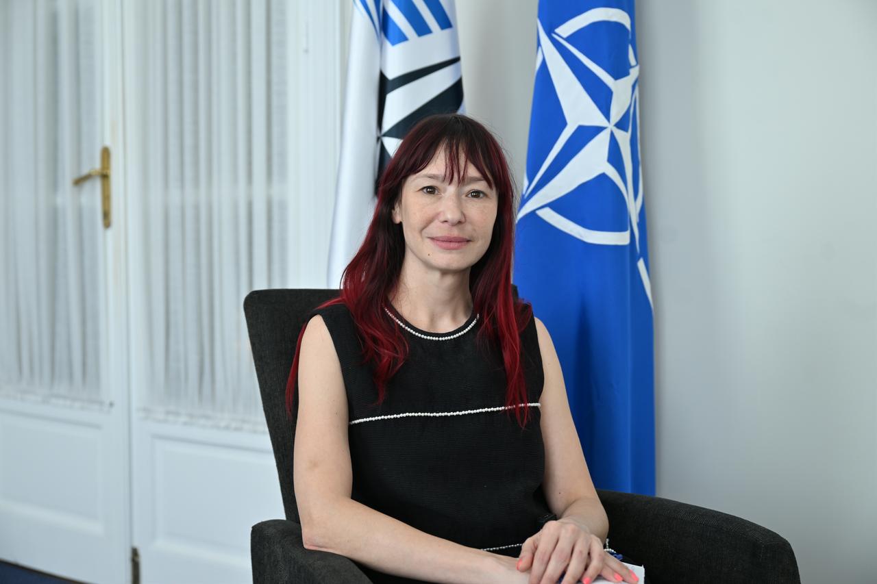 NATO Parliamentary Assembly chief says Türkiye stands out as strong ally