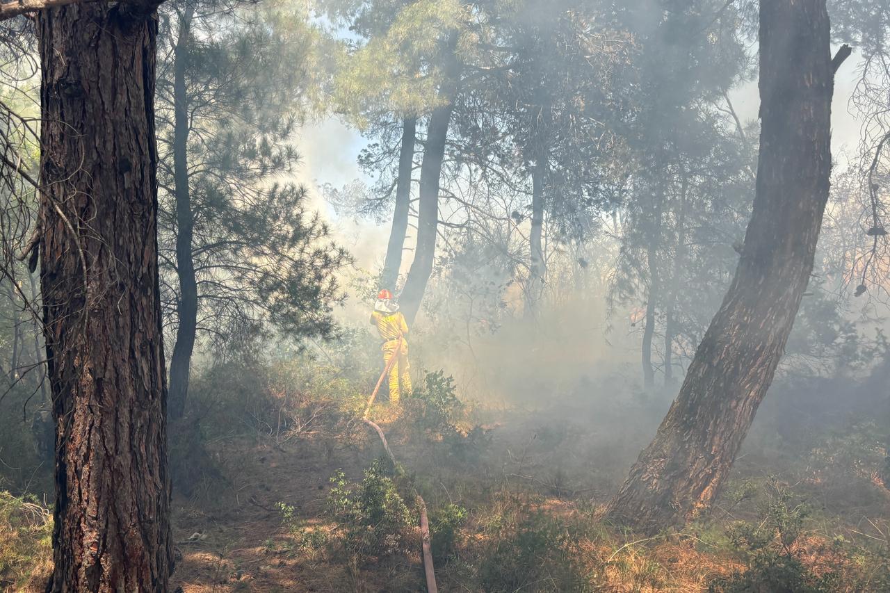 Firefighters tackle rural and forest fire in Türkiye’s Canakkale